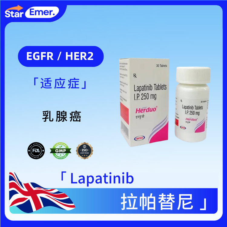 拉帕替尼 · Lapatinib · EGFR / HER2