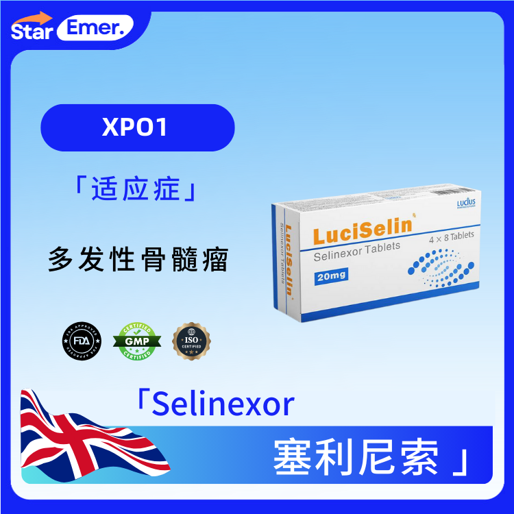 塞利尼索 · Selinexor ·  XPO1