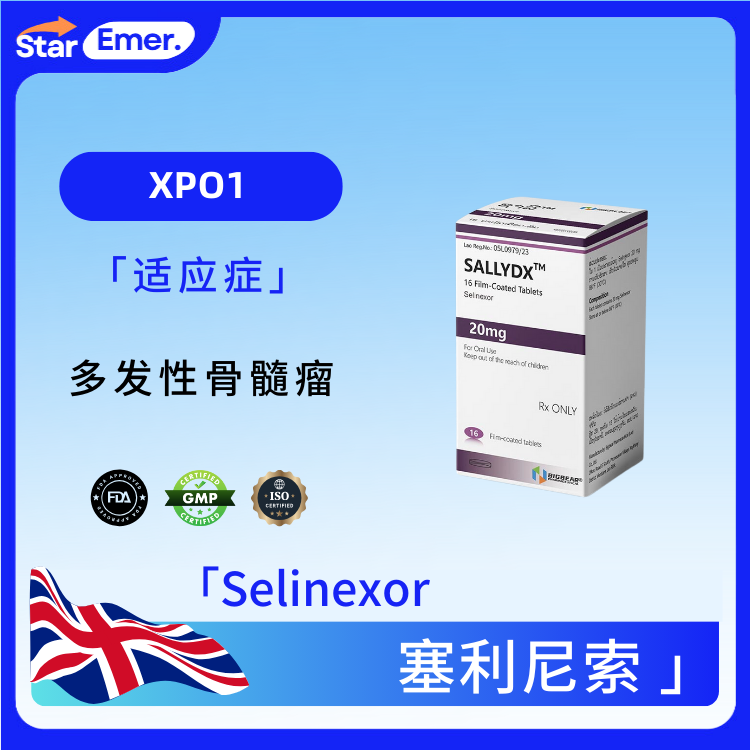 塞利尼索 · Selinexor ·  XPO1