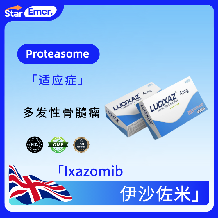 伊沙佐米 · Ixazomib · Proteasome