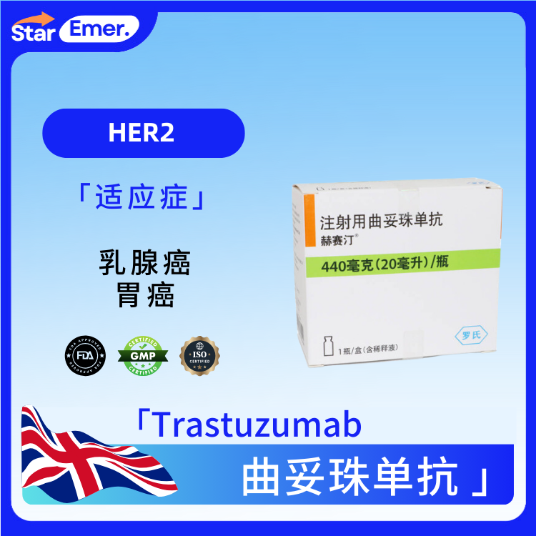 曲妥珠单抗 · Trastuzumab · HER2