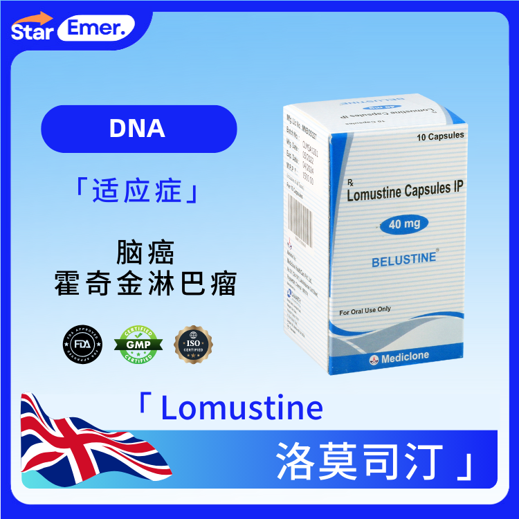 洛莫司汀 · Lomustine ·  DNA