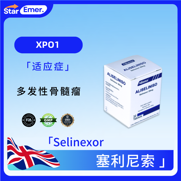 塞利尼索 · Selinexor ·  XPO1