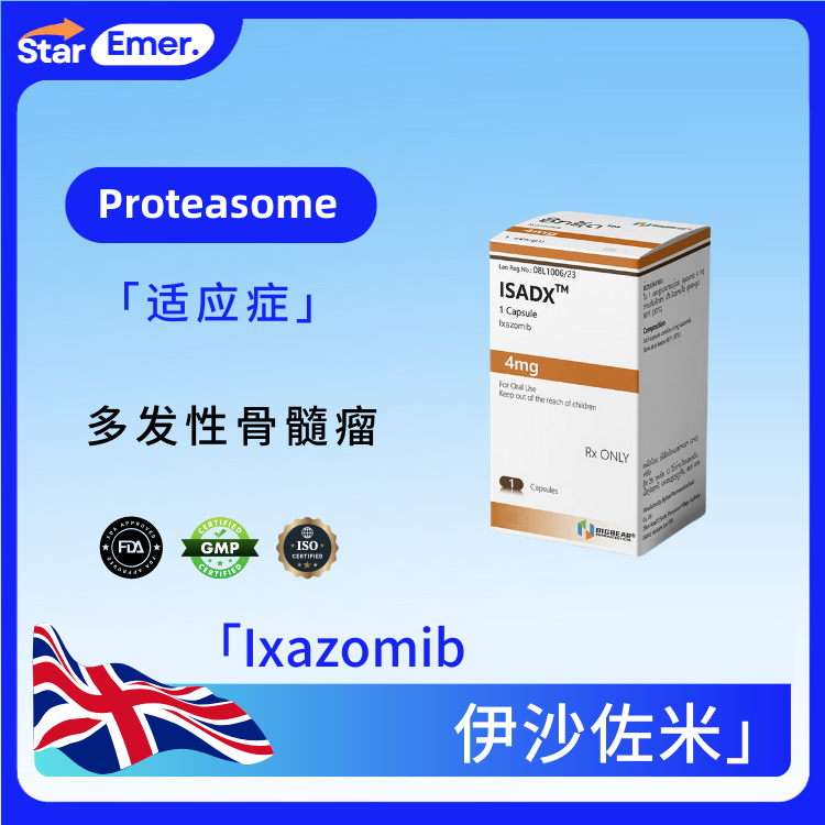 伊沙佐米 · Ixazomib · Proteasome