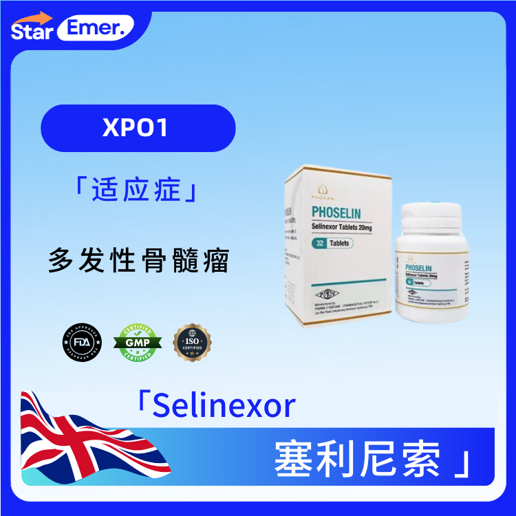 塞利尼索 · Selinexor ·  XPO1