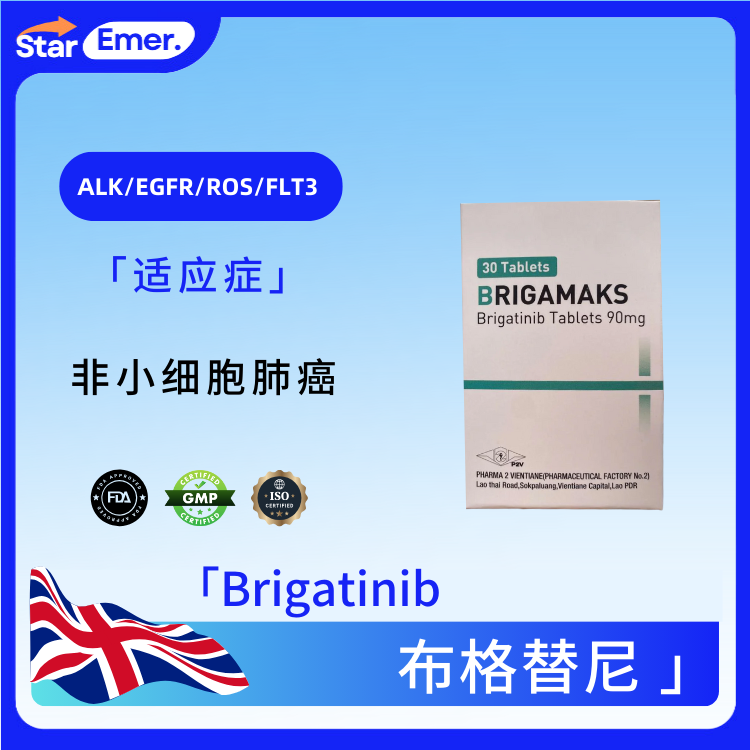 布格替尼 · Brigatinib · ALK