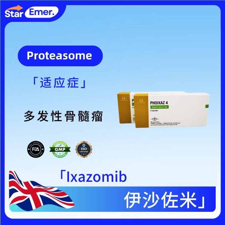 伊沙佐米 · Ixazomib · Proteasome