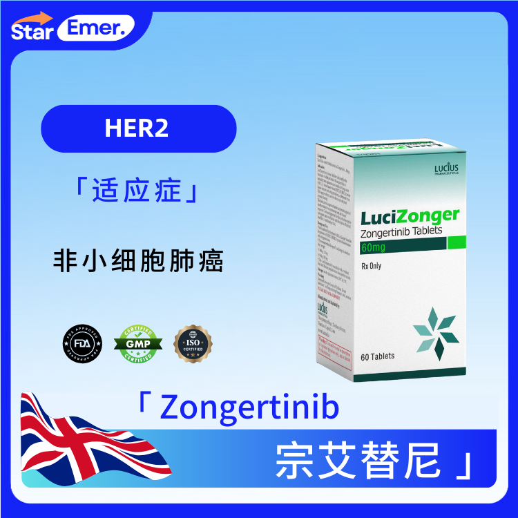 宗艾替尼 · Zongertinib ·  HER2